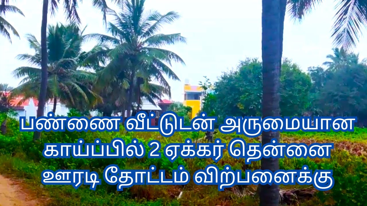 பண்ணை வீட்டுடன் அருமையான காய்ப்பில் 2 ஏக்கர் தென்னை ஊரடி தோட்டம் விற்பனைக்கு