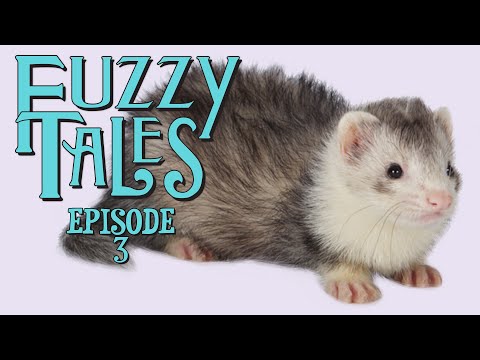 Fuzzy Tales | Ep 3 | Three Little Guinea Pigs | Goldi-Kitty | Aladdin-Bob