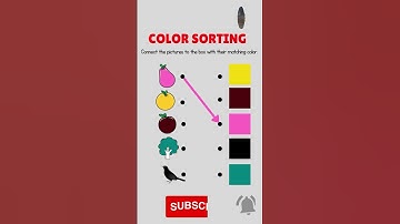 Color sorting for Kids By Haseeb Moiz Tv 20