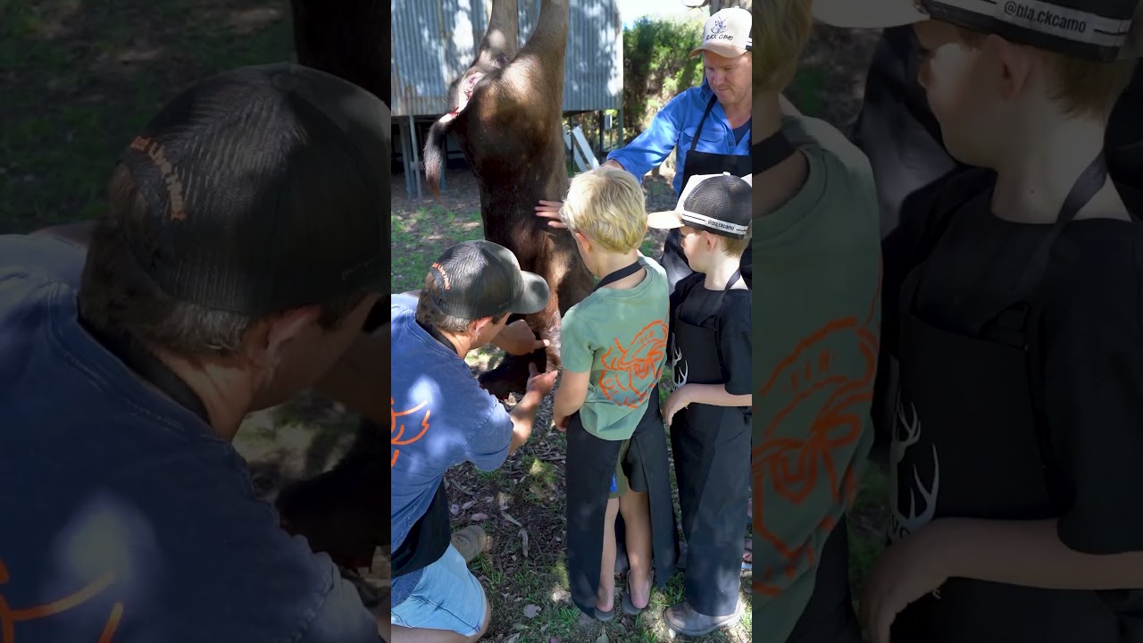 Carnivore Collective Family Bonding and Teaching