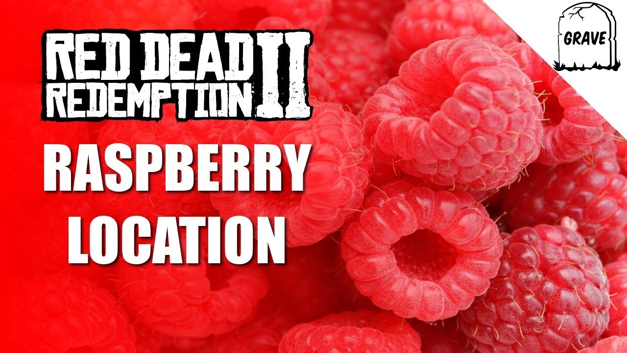 Raspberry Location Red Dead Online Daily Challenge YouTube