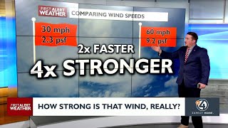 From strong breeze to severe storm: Here's how to visualize the power of wind