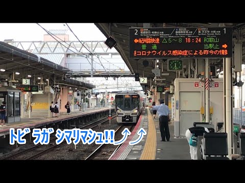 JR西日本 日根野駅の名物駅員さん #2