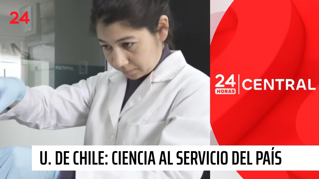 REMEMVER: Proyecto pionero busca mejorar la atención de demencias