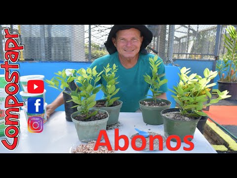 Video: Abonos: Tipos Para El Huerto Y La Huerta. El Uso De Peróxido De Hidrógeno Para Plantas, UAN Y Minerales. ¿Lo Que Es? Métodos Para Aplicar Diferentes Fertilizantes