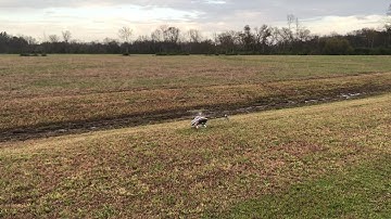 Rob Cherry and the Synergy 516 Stretch