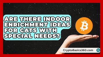 Are There Indoor Enrichment Ideas for Cats With Special Needs? | Happy Cat Handbook