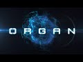 The future  of it  organ reimaging