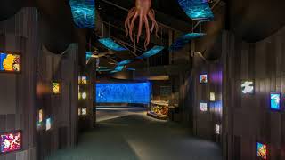 Omahas Henry Doorly Zoo Aquarium & Scott Conference Center Renovations