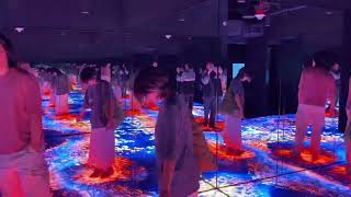 Boston, MA! - The WNDR Immersive Experience! - Immersive Theater.