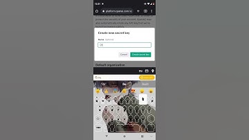 How to set up Janitor Ai API