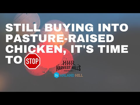 Video: Hvorfor majsfodret kylling?