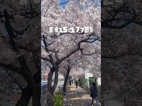 2026년 4월 배당 수익 #배당투자