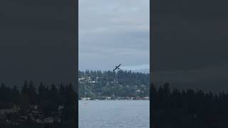 8/25: Insane Stunt Plane