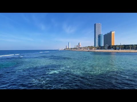 ASMR | Just Listen For 10 Seconds And Fall Asleep Fast With Calming Sounds Of Ocean for Relaxation