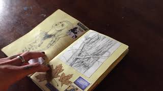 Sketchbook Show and Tell: Book 3