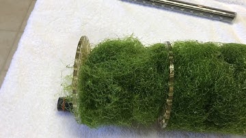 Skimz Macroalgae Reactor cleanout