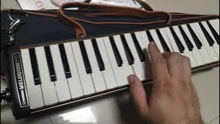 Suzuki Melodica M-37C tonal quality