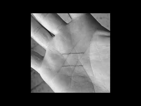 עטר מיינר פינה לאהוב עם ליעם חכמון ונופר סלמאן 