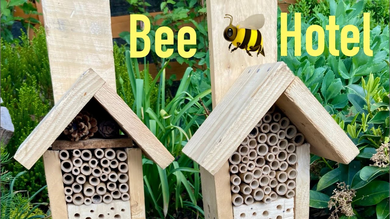 Bee hotel 