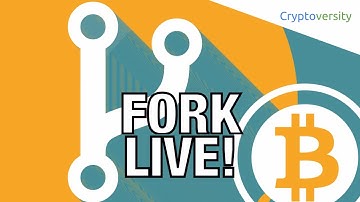 Fork With Me! Live 🎥 Coverage Of The Bitcoin Hard Fork 🍴 Split Of Bitcoin Cash 💸 UAHF