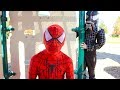 SPIDER-MAN: INTO THE SPIDER-VERSE All Movie Clips + Trailer (2018)