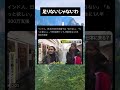 #高市早苗 #自民党 #税金 #政治