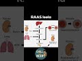 RAAS leela #shorts #trending #viral #neet #neetug #neet2026 #biology #neetbiology #memes #neetug
