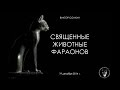 Священные животные фараонов. Лекция Виктора Солкина