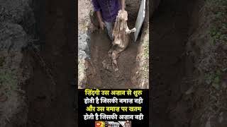 aakhri manzil ⚰️😞 #hashar #grave 🦴🦴 #kabar #sawaljawab #realhome #emptyhands #shortvideo  #islamic