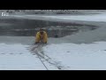 Firefighter Plunges into Icy Pond to Save Dog Trapped in Water