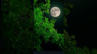 moon photo zoom 1000x1000 !!#vairalshort #tarndeng #moonlight #tarending #shortsfeed #short #yt