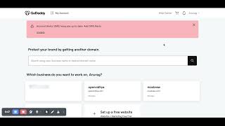 How to Delegate access on GoDaddy so developers can manage DNS?