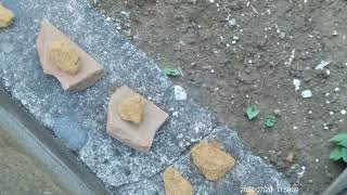 DSCF0002
