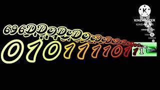 Binary Numbers Extended^11