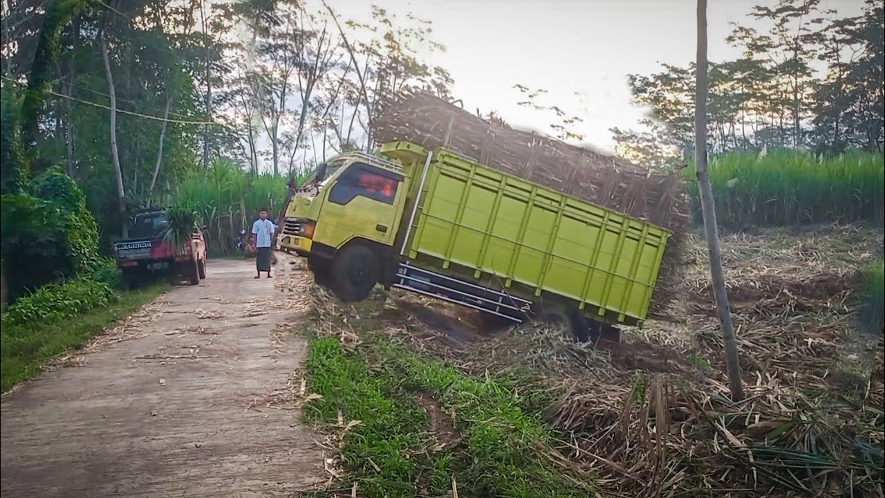 truk tebu sam miko driver pro | SPESIAL Give Away