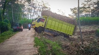 truk tebu sam miko driver pro | SPESIAL Give Away