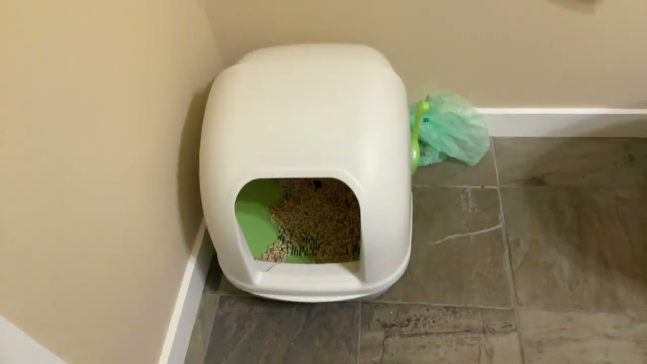 redmond house tour I guess