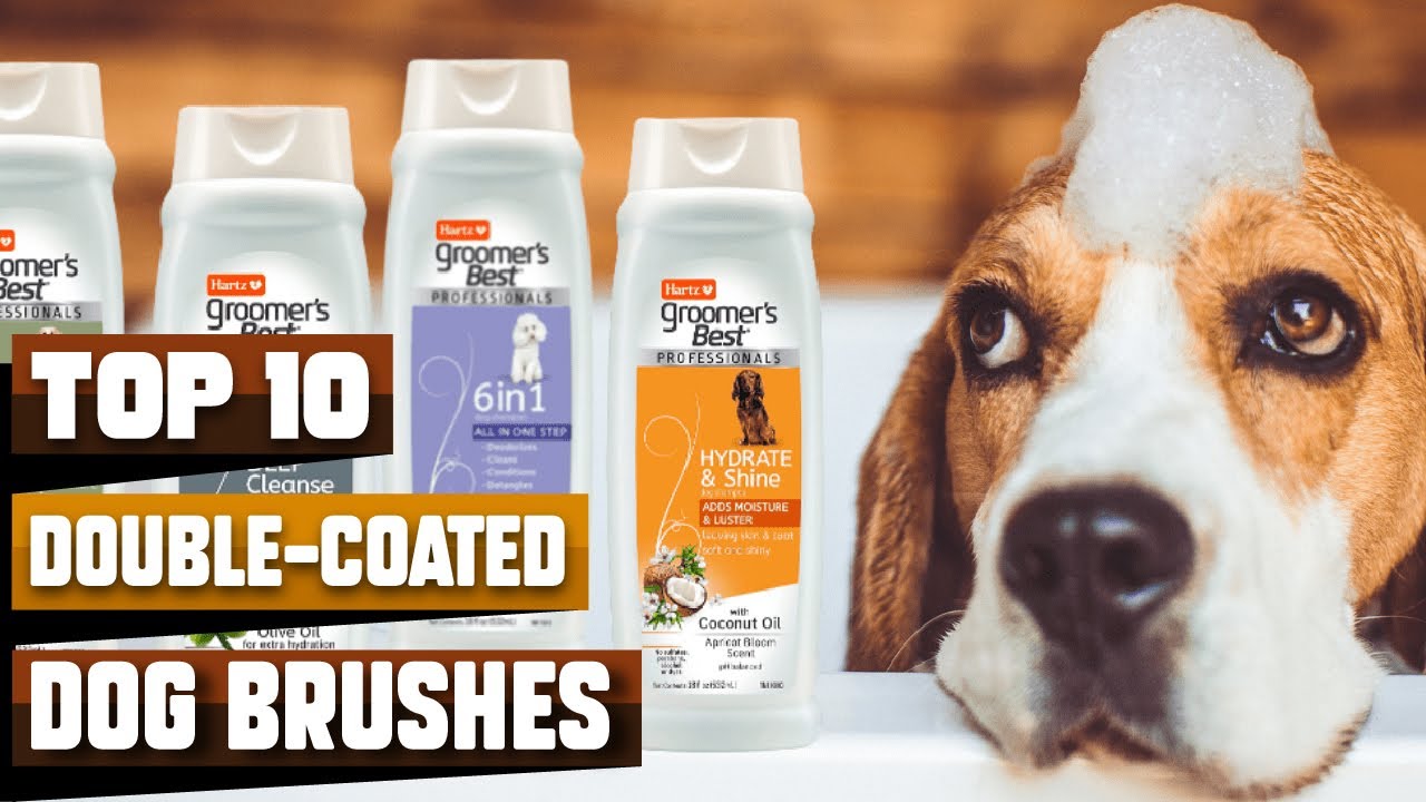 Brushes for DoubleCoated Dogs 🐕 Best Brushes for Double Coated Dog On Amazon YouTube