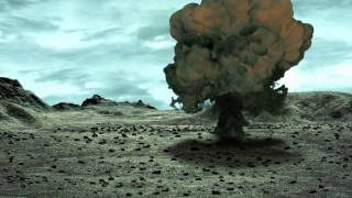 Maya / fluid explosion test Net Worth