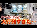 【初日参戦】ちいかわベビーを求めて台風の中、買いに行った結果がこちら‥。【ChiikawaBaby|ちいかわベイビー|オタ活】
