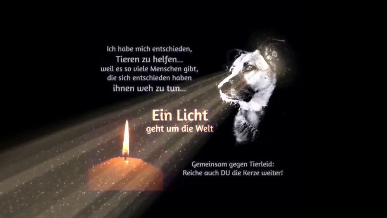 An der Regenbogenbrücke sehen wir uns wieder