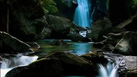 تلاوة لسورة الذاريات بصوت أنس الغامدي