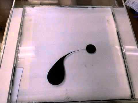 動き始めた書-Flow-