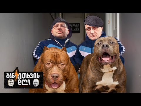 პასუხისმგებლობა ვაკის პარკის ტრაგედიაზე და აგრესიული ძაღლების აკრძალვა - განკითხვის დღე!