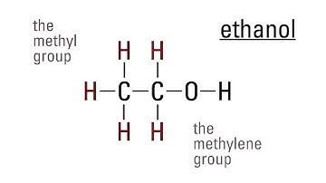 Proton NMR Interpretation