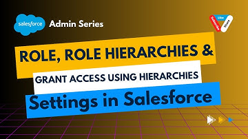 Role & Role Hierarchies and Grant Access Using Hierarchies Settings in Salesforce