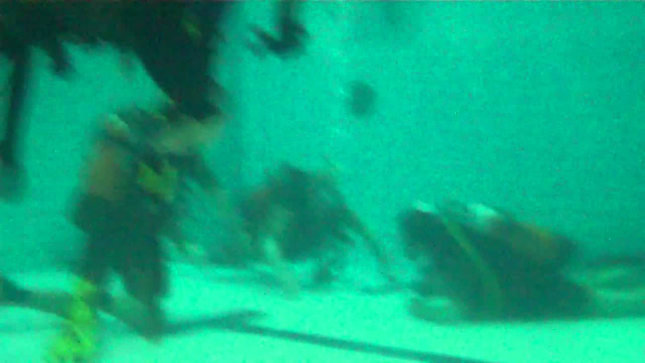 Discover Scuba Diving Norwich Norfolk YouTube