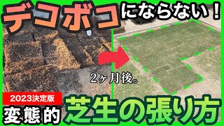 【凸凹のない芝生】芝生の張り方解説私はこれで極上フラット感の芝生の庭にできました。