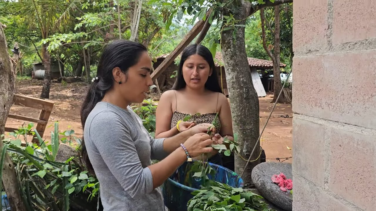 Limpiando las moras y chipilines para hacer un rico sopón😋º Nos ...